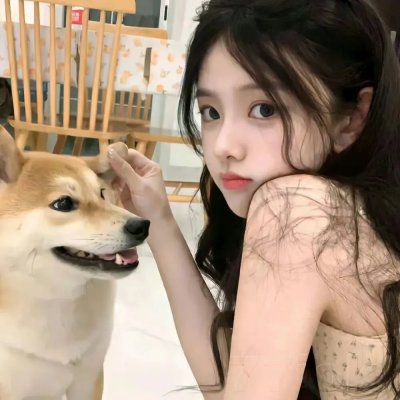 离狼之歌